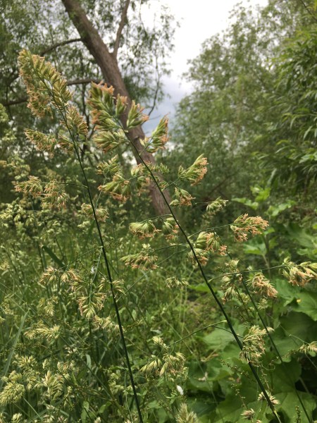 BAA6F010-890B-422D-8483-6C7981D1D1EB