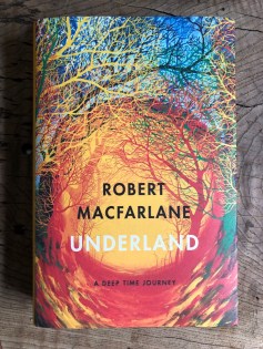 C66033DA-9011-4149-85C3-F6FC8F658B52